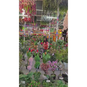 ต้นไม้ประดิษฐ์ดอกสีชมพูทรงพอมพอมในกระถาง - Product Image 2