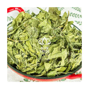 DE VIETNAM BLUE LOTUS MS AMELIA + 84855014447 TÉ DE MENTA SECO HOJA DE MENTA HIERBAL HOJA DE ALTA CALIDAD - Product Image 1