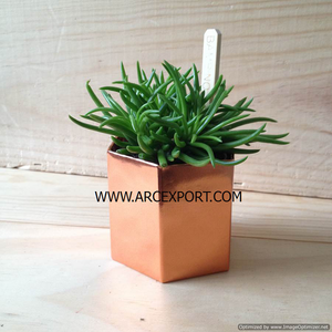 Copper Shiny Polished Stylish <b>Planters</b> New Design Standard Decorative Platters Wholesale Serving <b>Planter</b> in Attractive Price - Product Image 3