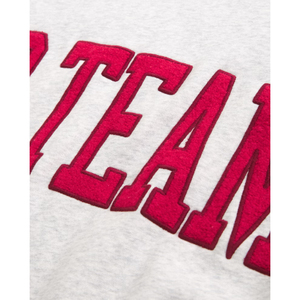 Ropa deportiva personalizada Collegiate Varsity cuello redondo Go Team gráfico sudadera pulóver Go Team apliques sudadera - Product Image 5