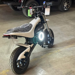 Nuestra alta calidad Burromax TT1600R Electrics Super Bike 1600W LISTO PARA SER ENVIADO A TODO EL MUNDO 2025 - Product Image 1