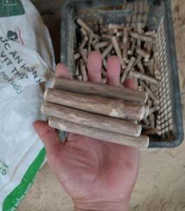 Chien à mâcher en bois de café de haute qualité fabriqué à partir des branches de la plante de grain de café/naturel et non toxique/Eco2go Vietnam - Product Image 1