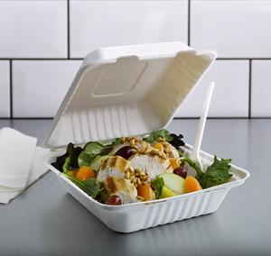 Envase Desechable de Bagazo 9x9 al por Mayor para Comida para Llevar de Restaurantes - Product Image 3