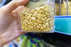 Pignons de pin turcs séchés bruts, best-seller – Qualité supérieure, naturels, en gros et abordables, idéaux pour les détaillants - Product Image 6