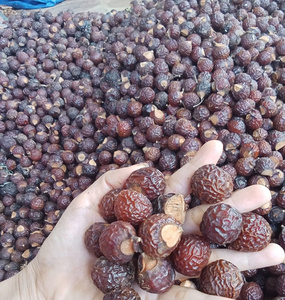 Bayas de Jabón Secas Enteras Orgánicas de Vietnam Sin Semillas con Empaque OEM en Bolsa de Lona, el Color se Intensifica con el Tiempo - Product Image 3