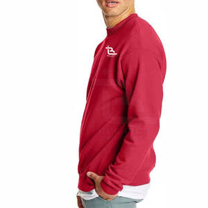 Personalizado de los hombres de gran tamaño pulóver sudaderas de invierno de poliéster/algodón de secado rápido transpirable colores personalizados y tamaños disponibles - Product Image 3