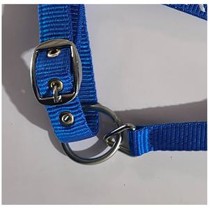 Licol de cheval rembourré en nylon solide avec boucles de quincaillerie Couleur et taille personnalisées Style de selle anglaise Sangle en PVC durable - Product Image 2