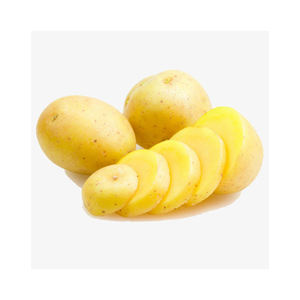 Venta al por mayor de batatas frescas de nueva temporada / Patatas a granel a precio económico - Product Image 3