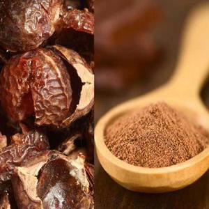 Polvo de extracto de nuez de sapo natural mejor precio fábrica de polvo de semilla de sapo en Vietnam - Product Image 6