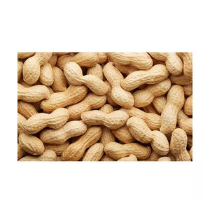 เมล็ดถั่วลิสงดิบออร์แกนิคแบบแห้ง - Product Image 1