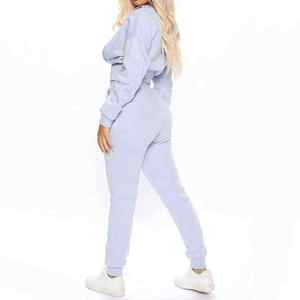 Conjunto de chándal de 2 piezas con logotipo personalizado para mujer, Tops cortos y sudaderas con capucha elegantes para correr, novedad de invierno, venta al por mayor - Product Image 3