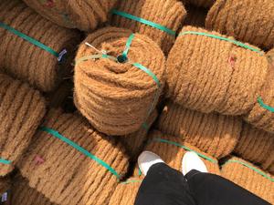 Cuerda de coco, cuerda de coco, juguete para perros 100%, Natural juguete para perros, 4W, mascota, limpia sus dientes, la mejor opción, requisito duradero del cliente, Vietnam - Product Image 3