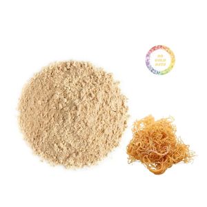 <b>RAW</b> <b>SEA</b> <b>MOSS</b> EXTRACTED POWDER HOT SALE 2025 IRISH SEAMOSS POWDER FOR MAKING GEL - Product Image 2