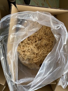 High Quality <b>Dried</b> Laver Seaweed-Eucheuma Cottonii (Seamoss) From Vietnam Fresh Style Export - Product Image 3