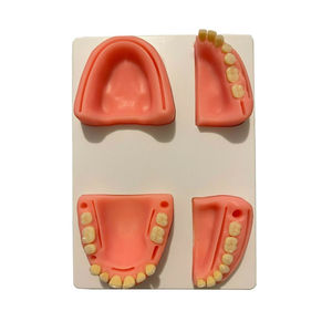 Kit de Entrenamiento Profesional para Sutura Dental, Modelo de Práctica de Sutura, Almohadilla de Entrenamiento, Aguja, Kit de Sutura Dental - Product Image 6