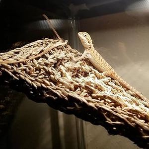 Hamaca de reptil de alta calidad, hamaca de escalada tejida segura, ofrece plataforma relajante de estilo natural para lagartos y geckos Vietnam - Product Image 6