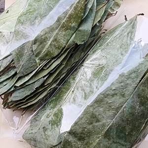 Hojas de Guanábana de Vietnam para Té, Hoja de Graviola de Alta Calidad para Té, Ingrediente Listo para Exportar en Opciones de Empaque a Granel y al por Menor - Product Image 1
