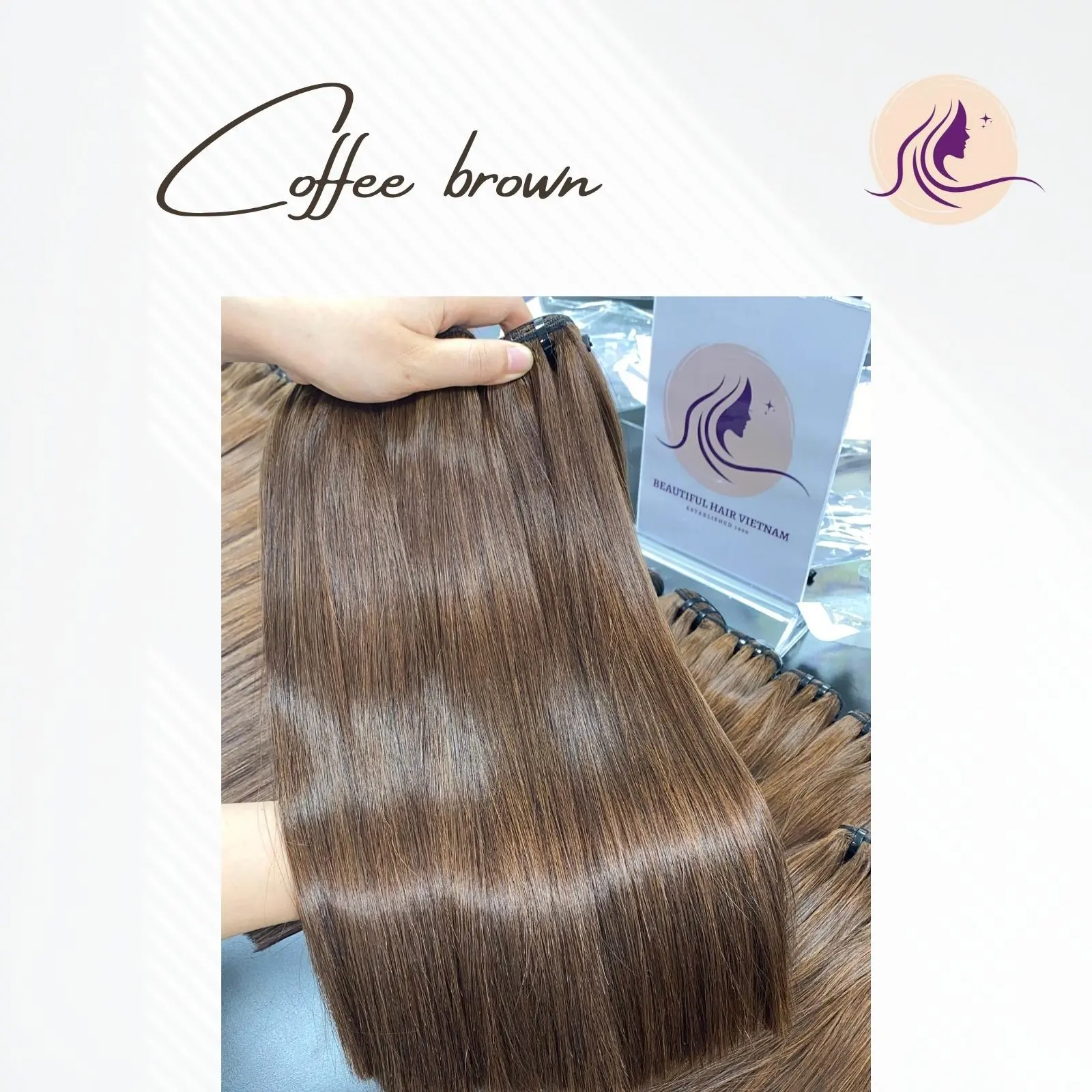 Длинные волосы вьетнамские шелковистые прямые двойные вытянуты волосы Реми, объемные человеческие волосы для плетения, 613 парик на полной сетке