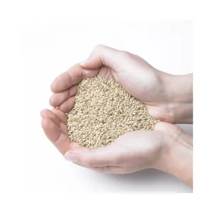 Graines de quinoa rouge pur, 100% naturel biologique du pérou