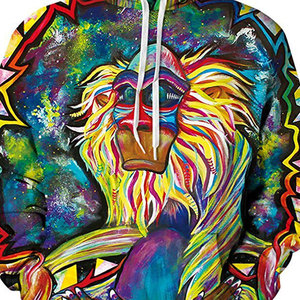 Sweat à capuche thermique d'hiver unisexe, 100% coton, tissu polaire doublé, logo imprimé sur le devant, design personnalisable - Product Image 4