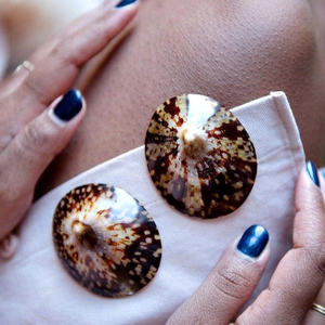 Vietnam Limpet Shell Exportateur avec grand Stock - Product Image 6