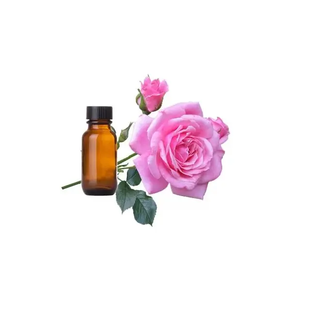 Tốt nhất lớp hữu cơ và tự nhiên Rose frgarance tinh dầu cho hương gậy và aggarbatti làm cho sử dụng