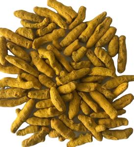 ขมิ้นนิ้วสีเหลืองแห้งจำนวนมาก - Product Image 6