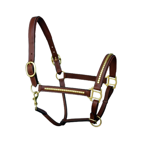 Gran oferta AL RAHMAN TACKS 2017 Halter ecuestre cuero de alta calidad equipo de entrenamiento de equitación Clincher Brass Halter - Product Image 4