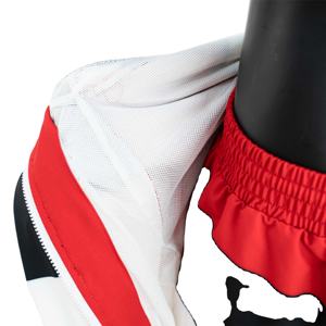 Conjunto de 2 Piezas de Camiseta Polo de Poliéster y Nailon Personalizada de Prince Industry, Pantalones Cortos Deportivos para Hombre, Corte Holgado, Conjunto Corto de Verano - Product Image 4