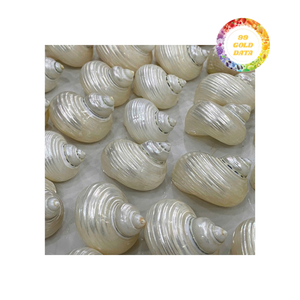 Anneaux de serviette en coquille fabriqués à la main de haute qualité pièces de table élégantes durables polies pour les environnements d'accueil haut de gamme - Product Image 5