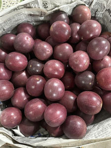 ราคาเสาวรสสดจากฟาร์มพร้อมมาตรฐานส่งออกโดยบริษัทส่งออกที่น่าเชื่อถือที่สุดในเวียดนาม - Product Image 4