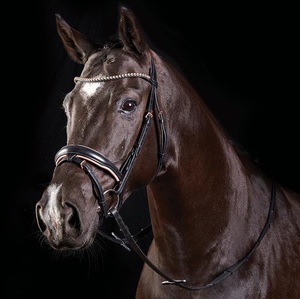 Bridas Joya Snaffle Brida elegante hannoverian con tocado acolchado, cuero de calidad y oro rosa pulido alto - Product Image 1