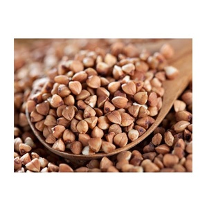 Sarrasin brut//Sarrasin de qualité supérieure avec une humidité de 14% max/sarrasin avec un mélange de grains de 2,0% max - Product Image 5