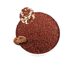 Berro | Hierba microverde Gourmet | Producto agrícola ecológico - Product Image 3