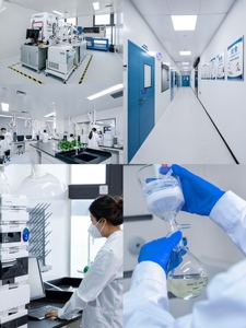 Nhà máy Trung Quốc Độ tinh khiết cao NAD + đông khô bột 99% hữu cơ trung gian nguyên liệu - Product Image 6