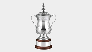 Stainless Steel Sports <b>Trophy</b> <b>Cup</b> Customized Achievement Award Display Durable Premium Quality - Product Image 4