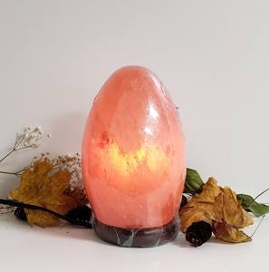 Wholesale Himalayan Pink Rock Salt Lamp Beautifully Carved <b>Egg</b>-Shaped Design Natural Carved Wooden Base Natural Crafts - Product Image 1