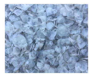 เครื่องชั่งปลาแห้งราคาถูกจากเวียดนาม // สำหรับการส่งออกเท่านั้น - Product Image 1