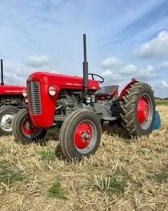 New and Used Massey Ferguson MF 35 1958 Diesel Tractor for Farming Crop <b>Cultivation</b> and Agricultural Transport - Product Image 2