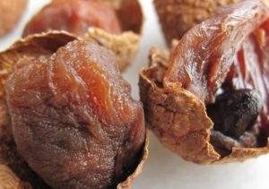 LYCHEE VIETNAMITA SECO PREMIUM - NATURALMENTE DULCE, TEXTURA SUAVE, IDEAL PARA MERCADOS GLOBALES - Product Image 4