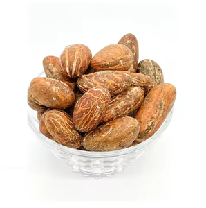 Noix de Kola amère / Noix de Garcinia / Noix de Kola fraîches naturelles - Product Image 4