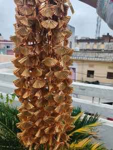 Gota String colgante de pared para decoración de boda decoración de fiesta guirnaldas hermosa y dorada Mala para decoración de techo - Product Image 2