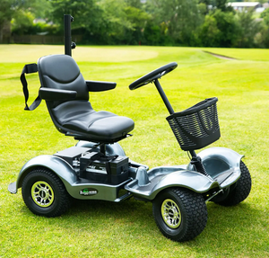 PRECIO DE DESCUENTO 2025 Carro de Golf Individual Lithiumm 4000 Pro - Acero de Grado Industrial, Personalización OEM/ODM, Garantía de 3 Años - Product Image 2