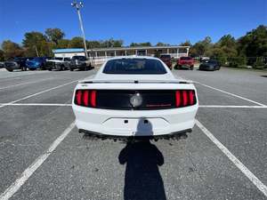 Ford Mustang GT Premium Coupé RWD 2019 / Disponible à la vente avec faible kilométrage, moteur essence, véhicule d'occasion en excellent état, sans accidents, conduite à gauche - Product Image 2