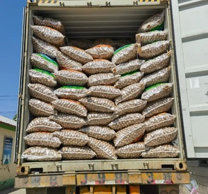 Noyau de noix crue séché pour la cuisson et les salades une longue durée de conservation de qualité scellée pour la fraîcheur et le goût - Product Image 1