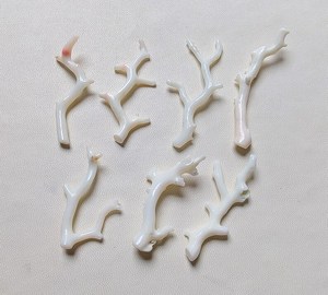 Palo de coral japonés genuino, 7 piezas, palo pulido de coral blanco, piedra preciosa suelta de coral japonés - Product Image 5