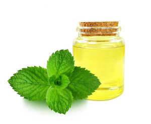 Premium Natural Mentha Oil <b>Bulk</b> Supply High Purity Mint Essential Oil for Aromatherapy Food Flavoring Cosmetic Herbal Ingredient - Product Image 6