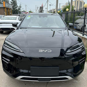 Voiture électrique EV 2025, modèle phare 110KM, 5 portes, 5 places, sans accident et prête à l'emploi, vente en gros d'usine, prix DMI 2025 - Product Image 1