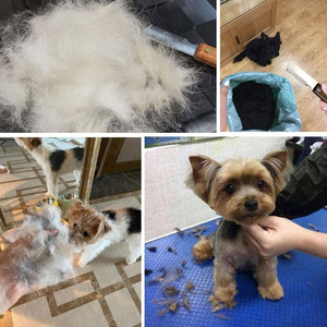 Couteau de toilettage réutilisable en acier inoxydable avec manche en bois Instrument vétérinaire pour chiens et animaux de compagnie Outil de décapage - Product Image 5