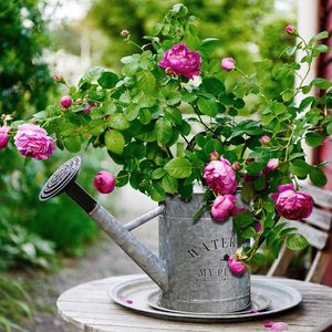 กระป๋องรดน้ำที่สวยงามง่ายดายสำหรับบ้านและสวนศิลปะของการไหลได้อย่างง่ายดาย-กระถางดอกไม้สำหรับพืชกลางแจ้ง - Product Image 3